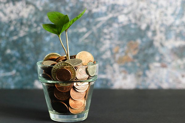 A green plant in a glass filled with coins.